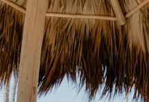 여름철 자외선 노출 관리법 coconut fruit on white table near beach during daytime