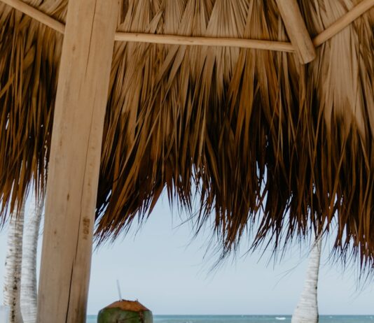 여름철 자외선 노출 관리법 coconut fruit on white table near beach during daytime