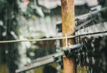 경기지역 집중호우에 총력대응…“안전·재산 피해 없도록” water droplets on brown wooden post