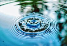 여름철 체력 유지법: 무더위 속 운동 팁 water drop