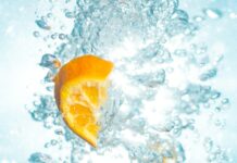 여름철 운동 중 신체 상태 체크리스트 sliced orange fruits underwater