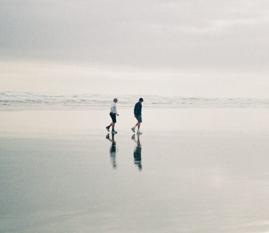 최적의 영양 섭취 타이밍과 조화 two person walking at beach during daytime