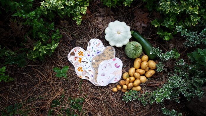 Photo by Šárka Hyková a butterfly on a flower