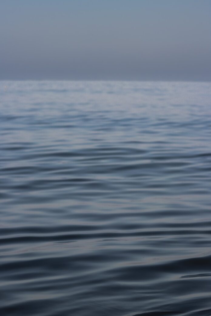 Photo by Navin Shibu a view of a body of water from a boat