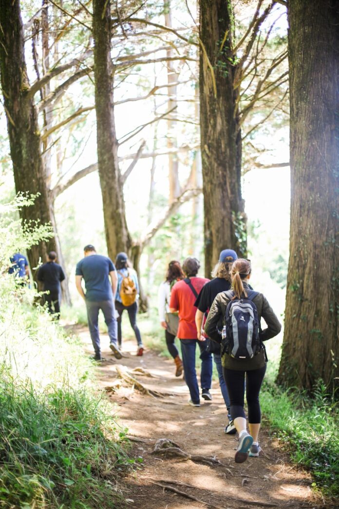 people walking on dirt road between trees during daytime