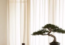 숙면이 건강을 부른다…한국형 ‘슬기로운 수면생활’ 실천법 주목 A bedroom with a bed and a bonsai tree